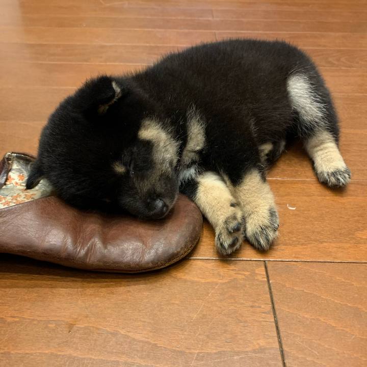 25adafd9 1c8d 4bd5 a255 a758ce88fbfc 1598200148016