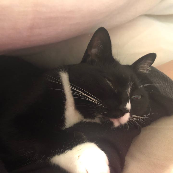 25adb0bb 5040 43b9 b567 200a7a975572 1544339637725