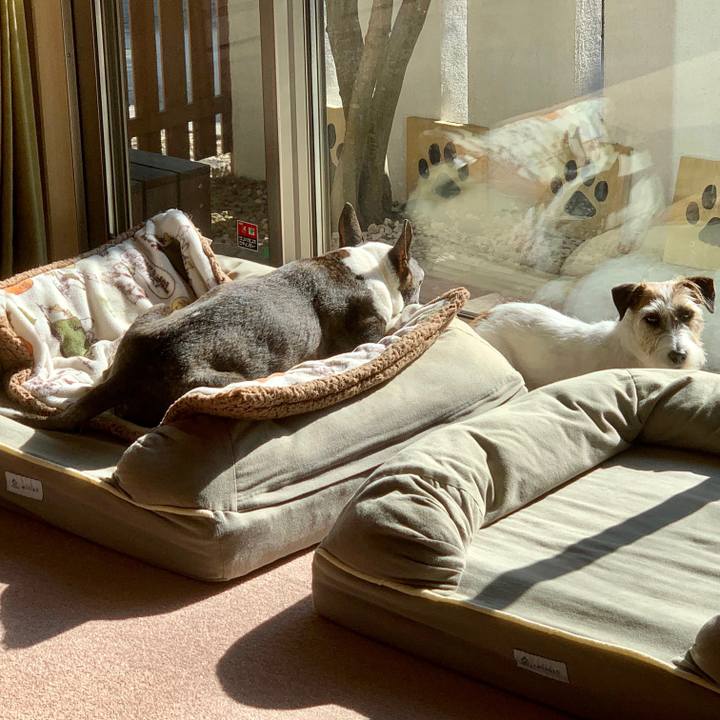 25adc4da 54fc 4d66 bb59 59da90cb3f6d 1638344485718