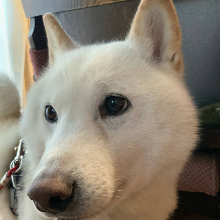 25adf6af bcf5 4f71 bb1d bae3c5b36adc 1615105355607