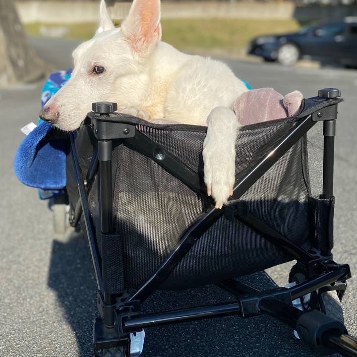 25ae1198 24b6 4ed8 ac9c 816473519cce 1603260972350