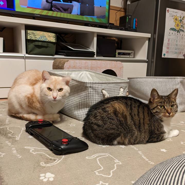 25ae354a 7936 44bb 9135 7f6be620508a 1699708112142