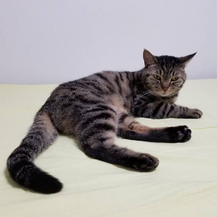 25ae4496 3e12 4fe6 a8ce 5ae429cdabc6 1623360452422