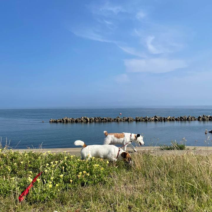 25ae6a8b d575 4738 aa24 ac455e7bcaea 1624663761853