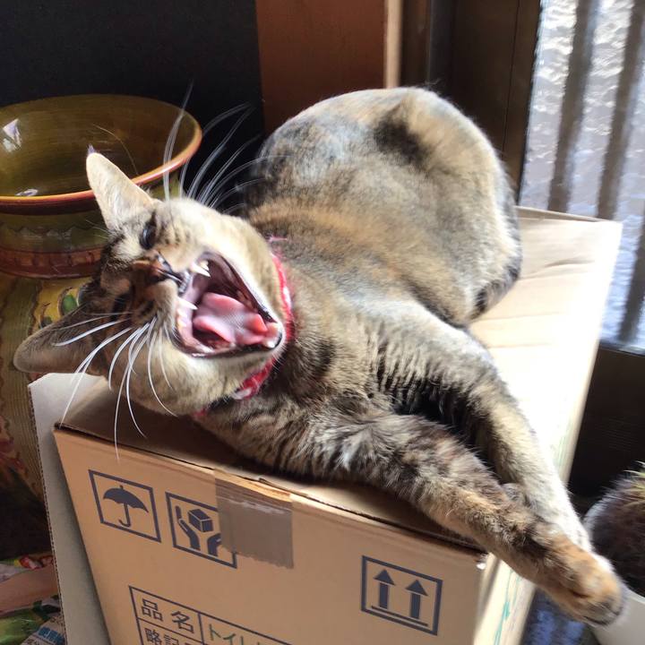 25ae7ba7 a61d 4572 93d2 71d4b7d6e927 1612934352144