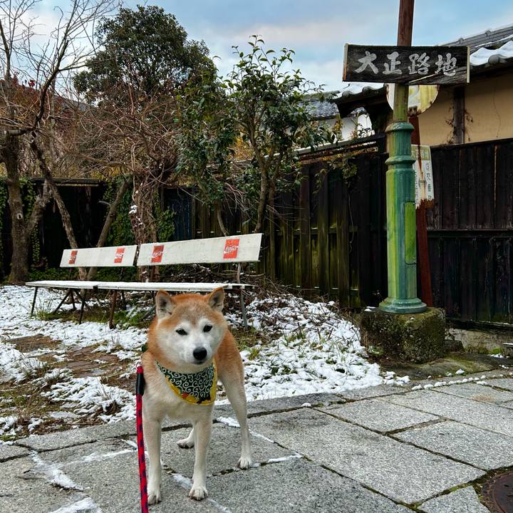 25ae92e7 7189 4c22 ae39 5962617fc5fd 1764844562212