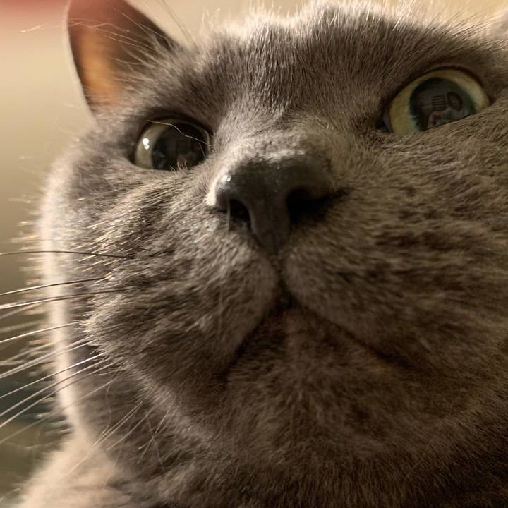 25aea808 a90a 426a b619 e37e460893e6 1731717960376