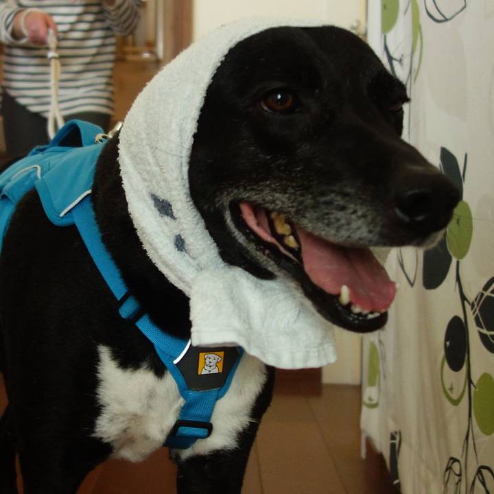 25aeba36 1f02 493f bebd 47be56efc24b 1682594048512