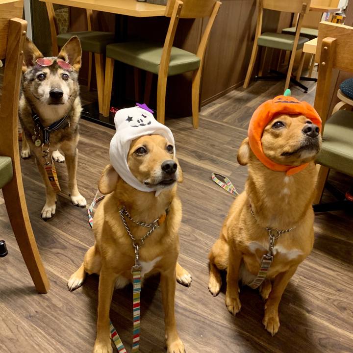 25aed969 f58a 4668 b020 e28a1d9db679 1571911861270