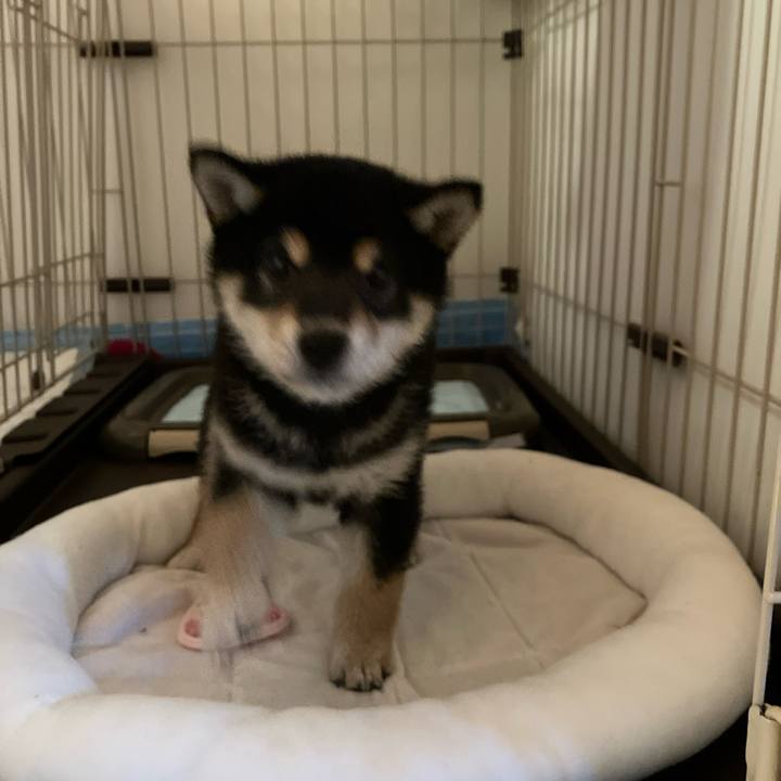 25af1d83 5cdb 4682 afea f76d1e6772ff 1774910107328