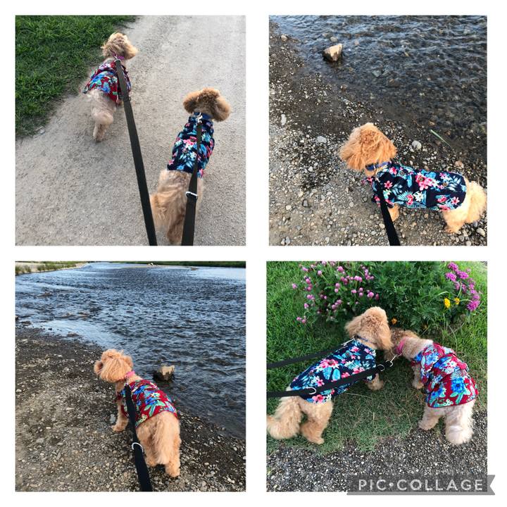 25af3eca b1e5 4c20 a0b2 2efc61472dc9 1659956853302