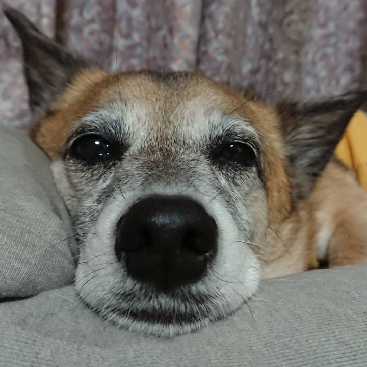 25af5c0b 45c2 437d b012 ebc5ace2fafb 1553778755091