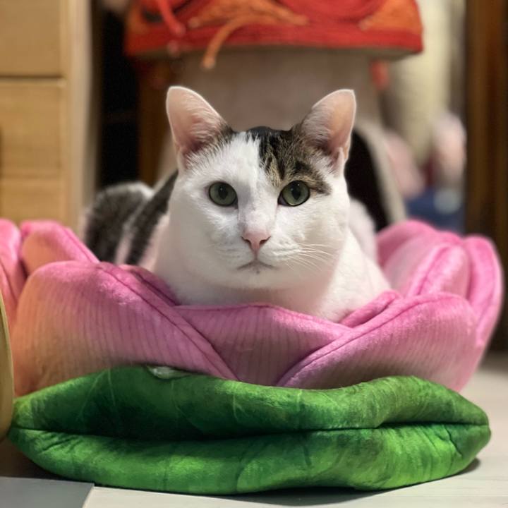 25af5d46 1329 4cdb ab07 37b5142f87b0 1695469916139