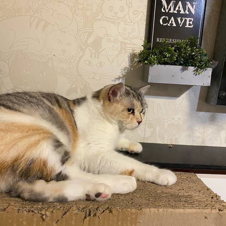 25af5ec9 5aee 4e06 b2a4 ea3054531817 1624711108754