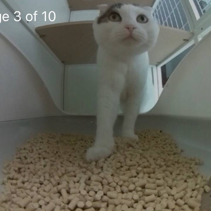 25af7636 a53b 4446 9398 9565865d1153 1568095847295