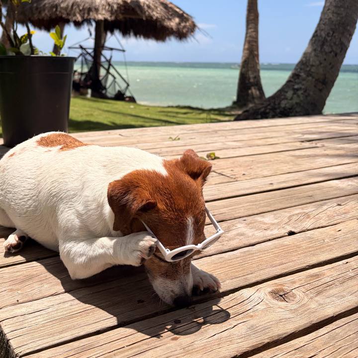 25af77a8 c0c0 442e 8951 c59d0815a747 1766819743364