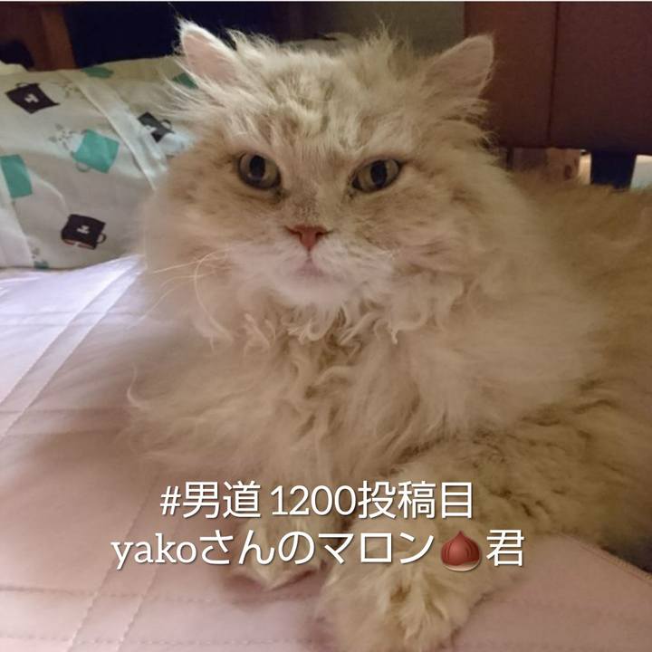 25af819d 069d 4ec7 b489 ad8f3a76785a 1560515740721