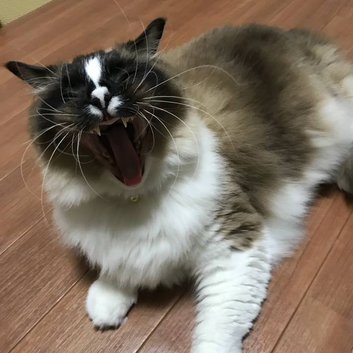 25af8414 930a 4b60 aba7 a35177841c68 1519904351391