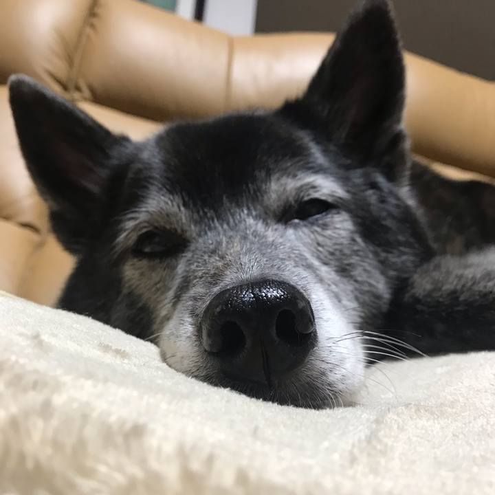 25af88aa 814b 4e82 a037 5032f1d6d042 1648632203132