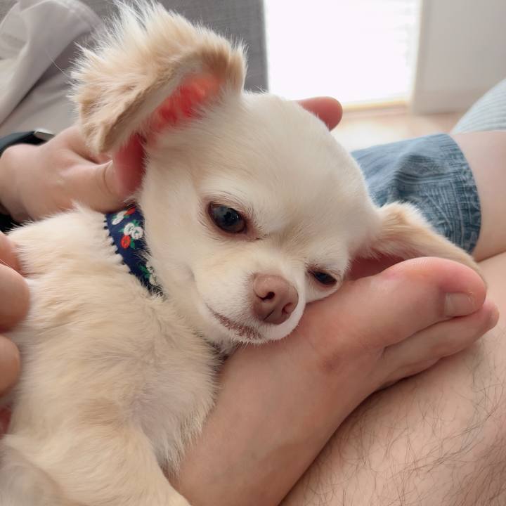 25afe18f 1f3d 4b71 a05d 3acf85093cac 1723270299074