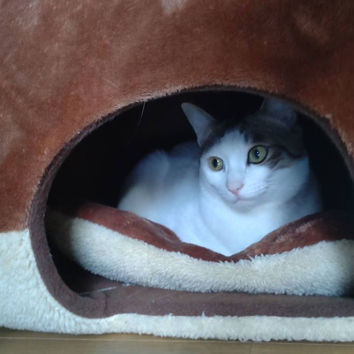 25afee56 8032 40c0 a65a f7c446b95db5 1672623544498