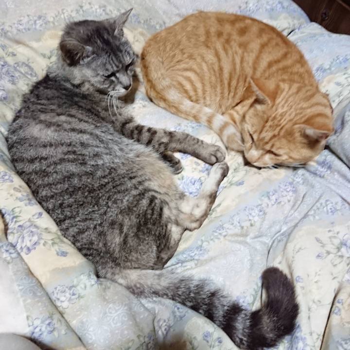 25b009c6 c19b 476c 93a7 73bd88f64ece 1563366715225