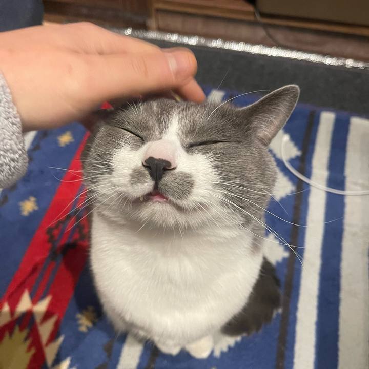 25b017ab 5872 4858 a7ea 73e9295ad0a7 1679934069725