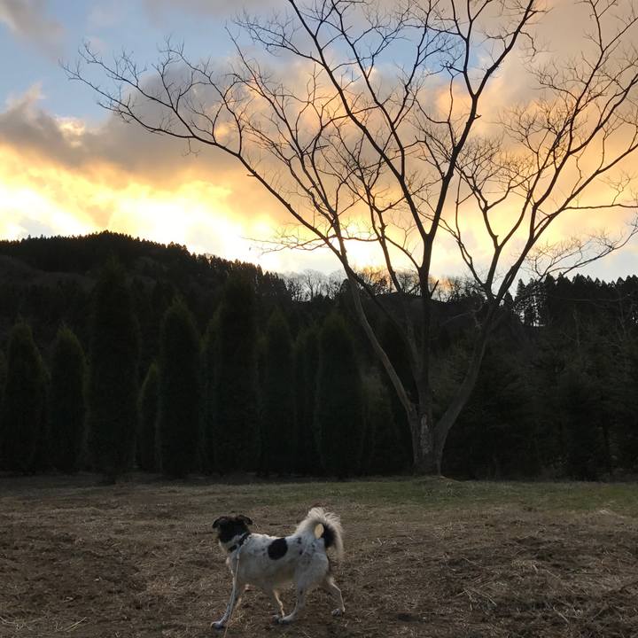 25b04636 52f6 4900 8853 8c7f48cb8865 1513127837963