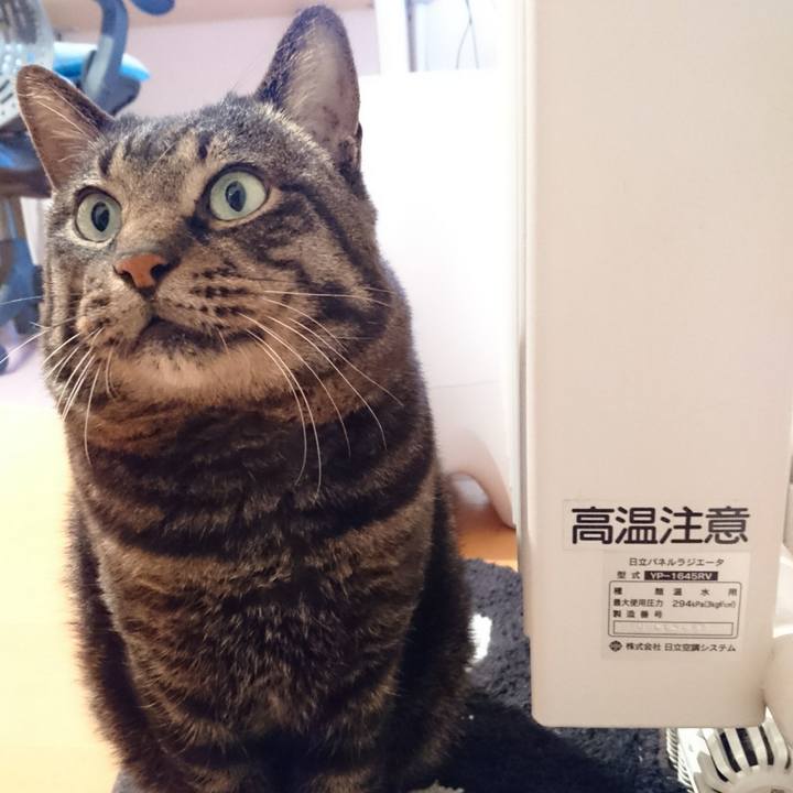 25b07f84 61ab 4fcc 9f15 182638c27dae 1574828347569