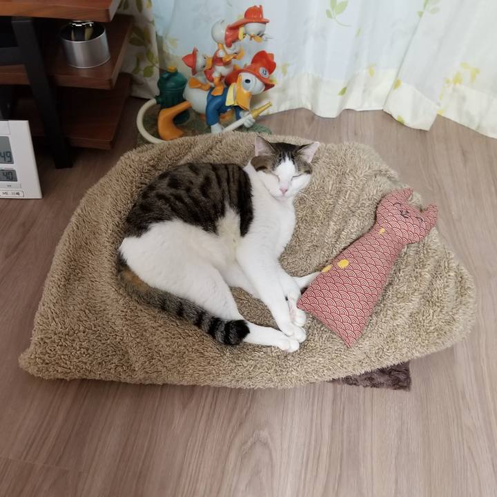 25b0d2d5 4832 4bd9 816f 506649085967 1608241549594