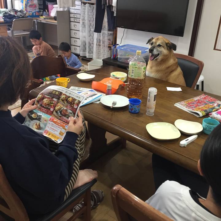 25b0ef55 b698 4564 8f50 2c2e95f49581 1556750531782