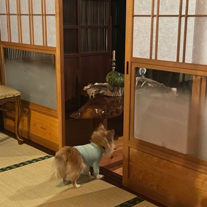 25b1059c 2084 46ae 89bd a9eb4bf2b8ba 1756682720466