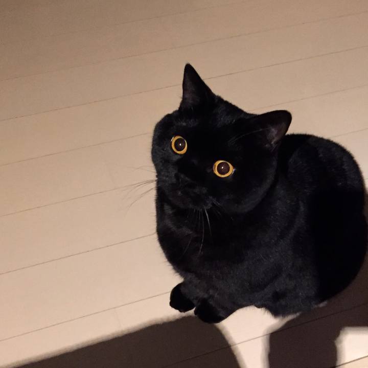 25b120b9 c9ef 427e 98bc b3a403bb286b 1583755576916