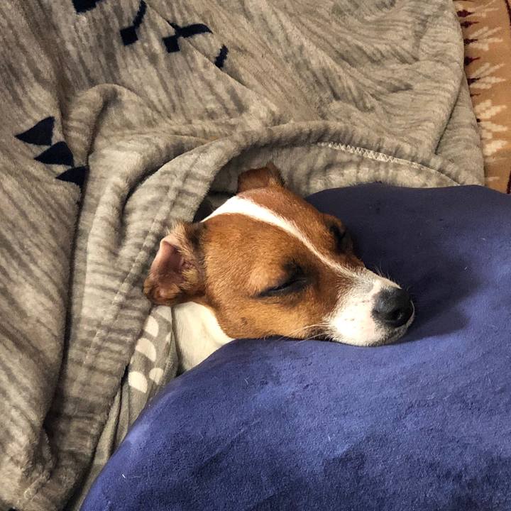 25b1344d e3e9 4141 81f5 0bf2bcbcf78b 1575513438926