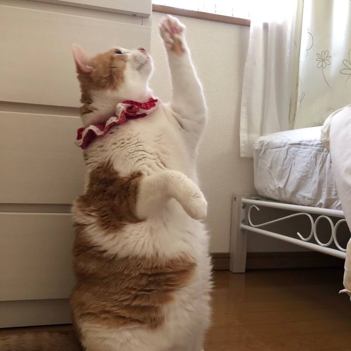 25b14714 1178 4f40 b0ae 8558a6839d66 1561386178627