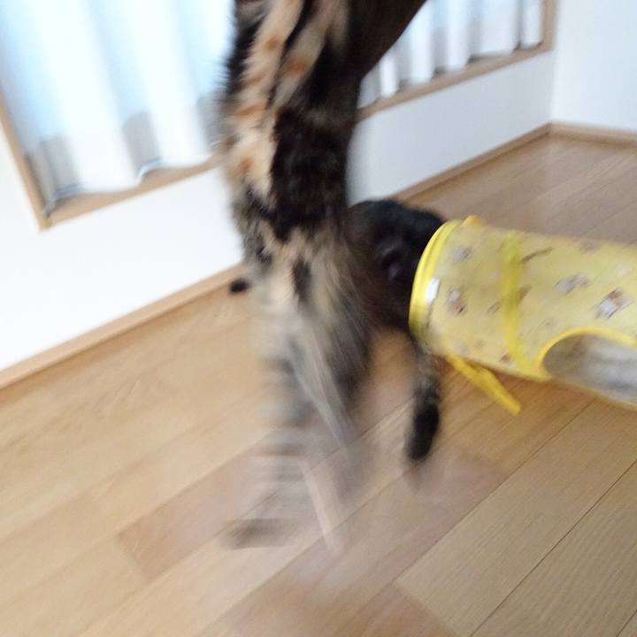 25b148d4 a376 492e 9d37 415fd8fef3fe 1524243686178