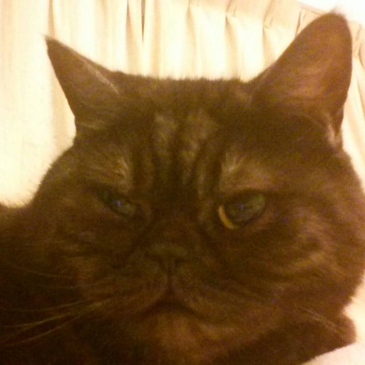 25b1721b 74ce 4d16 a1e6 e9d8534eeda6 1517754755537