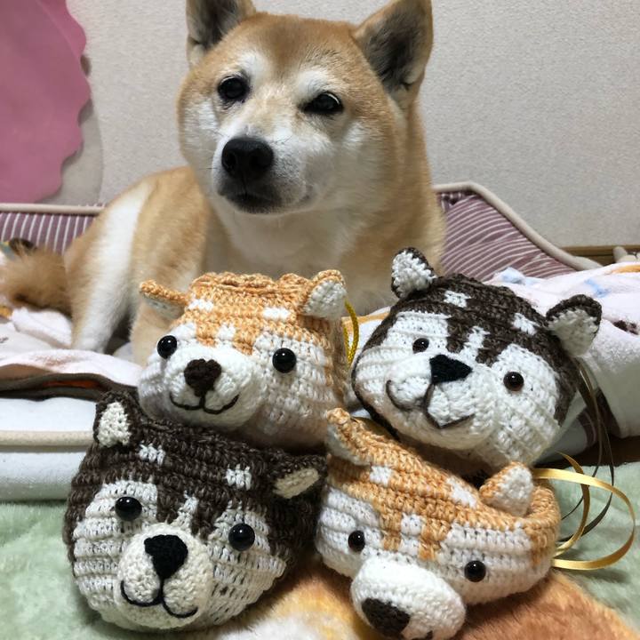 25b177b9 a0b0 480f b7e3 c8edf6faf492 1605622289381