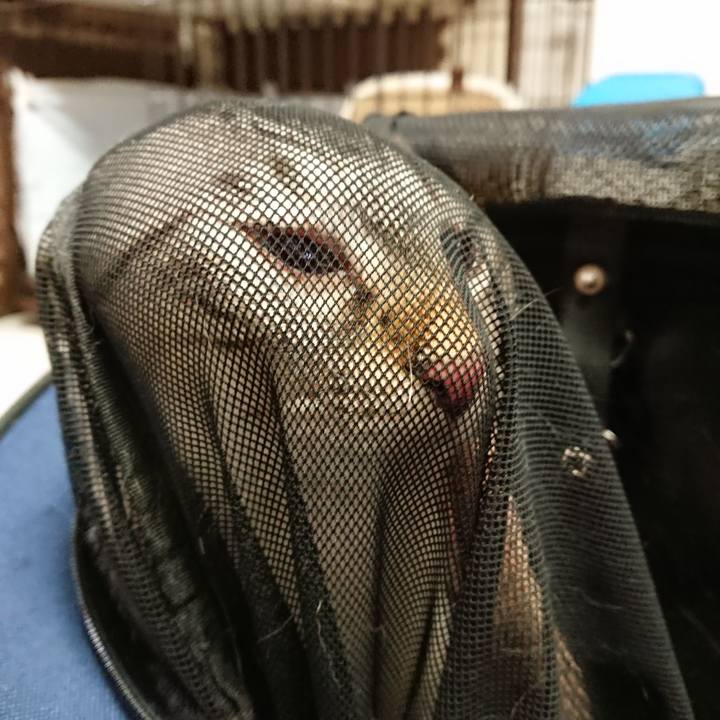 25b18015 ce4b 4d57 a86a d9d6be171904 1601117753226