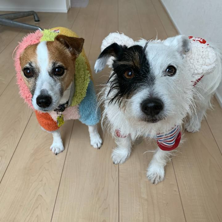 25b18dec cb55 46b9 aee4 538260293c08 1576712635945