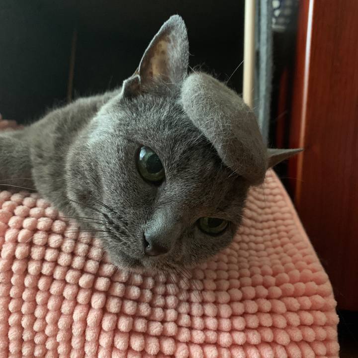 25b1a867 4720 41f6 af3b c30335a6cb9f 1595660145486