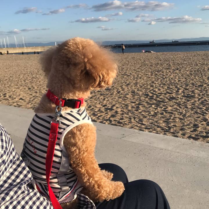 25b1de77 b1e2 49e0 9fca ad70b75c5075 1572857562470