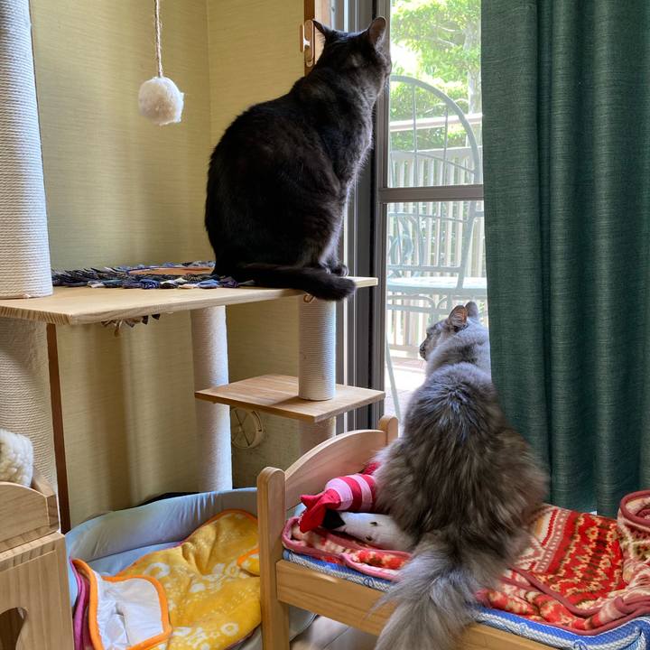 25b1e226 38b5 4108 bd64 beb8ba71af8c 1716428523205