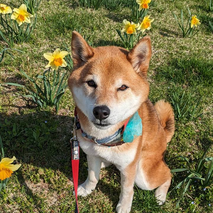 25b218eb fe86 4f11 8ff5 a16b4f0fe90e 1713186700420