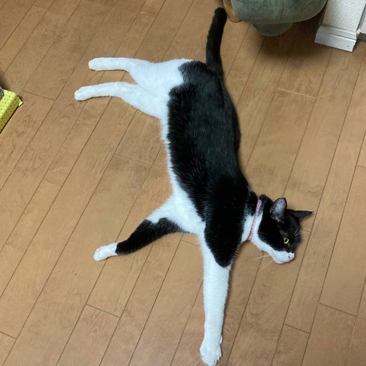 25b27f66 ca76 4a22 b4d6 88d8b8950851 1627195158681