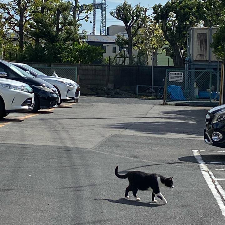 25b29036 b4dd 4db9 8325 ce2e22508306 1666516098532