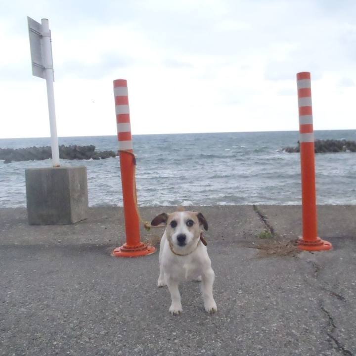 25b29167 a59c 4478 91e6 595e310a9444 1541586913933