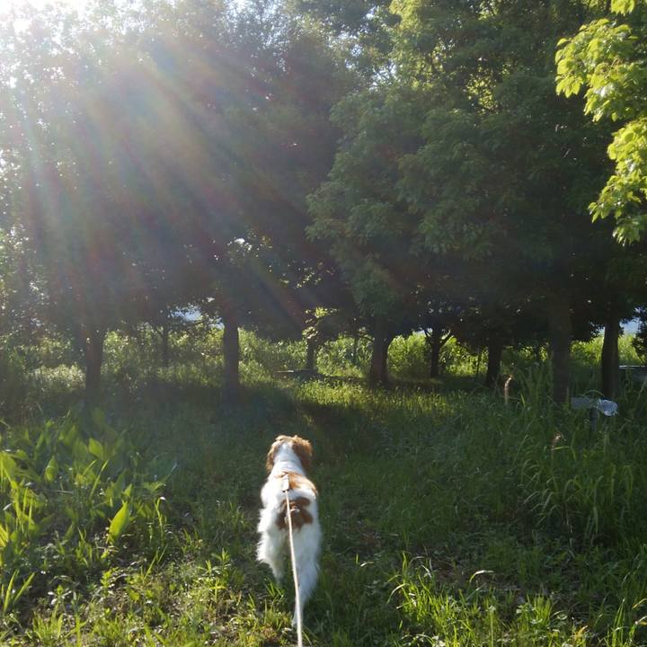 25b29aec 6499 4bd2 abe2 50959386a203 1526947140799