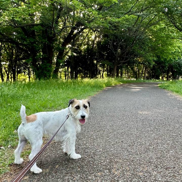 25b29d77 f360 484a 88b4 bcd96ab45a42 1715439682276