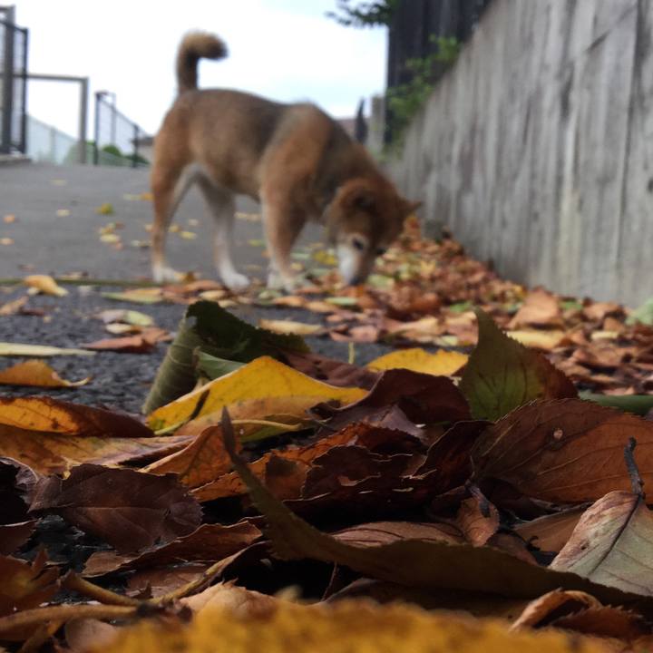 25b29d7b ff57 4d18 8ebe 4f6349090ffb 1629804764409